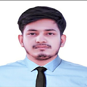 Flutter Developer